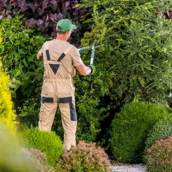 aos jardinage 600x600